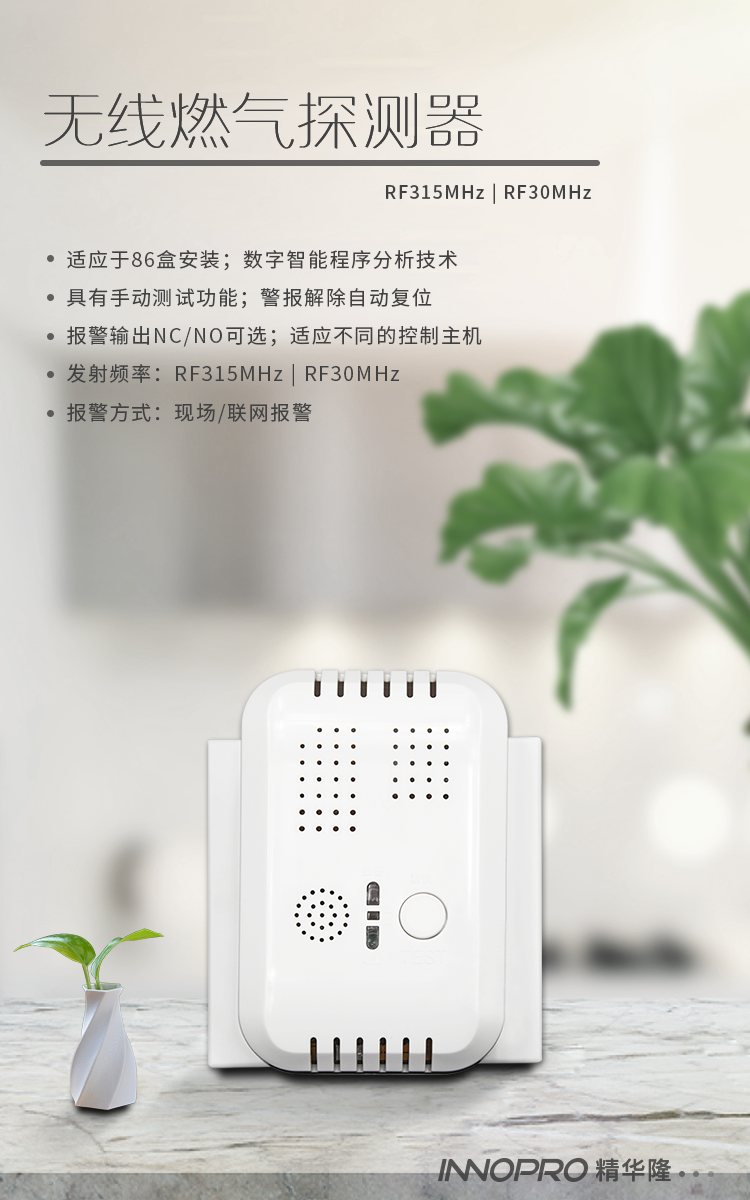 RF315M燃?xì)馓綔y(cè)器4.png