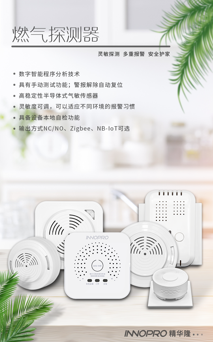 燃?xì)馓綔y(cè)器_總.png
