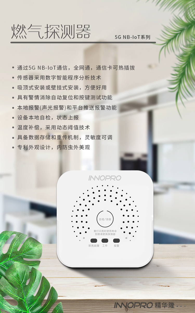 NB燃?xì)馓綔y(cè)器2.png